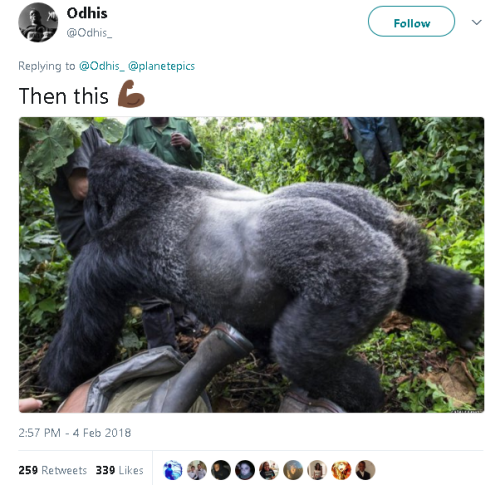 gahdamnpunk:  SCREAMING ☠️☠️ I bet the gorilla uploaded them pics 