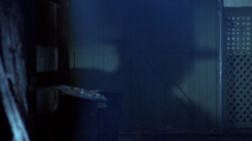 filmswithoutfaces:A Nightmare on Elm Street (1984)dir. Wes Craven