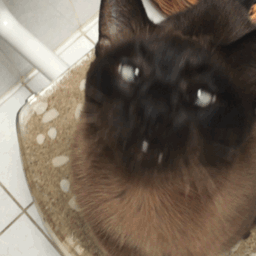 Ecstatic At Stroking