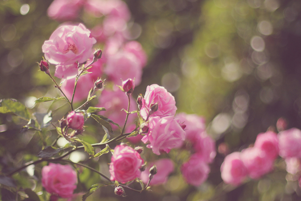 englishsnow:  by ►i.Anton 