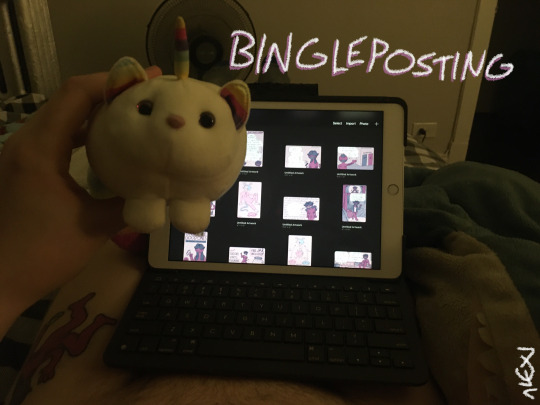 Tumblr media