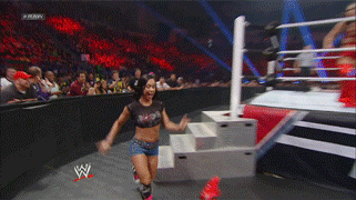 wwe-imagines-for-the-soul:  *When Nikki Bella fans call Aj Lee fans salty*