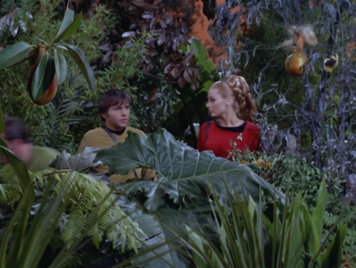 010011010100101001001101:  Star Trek: Plants