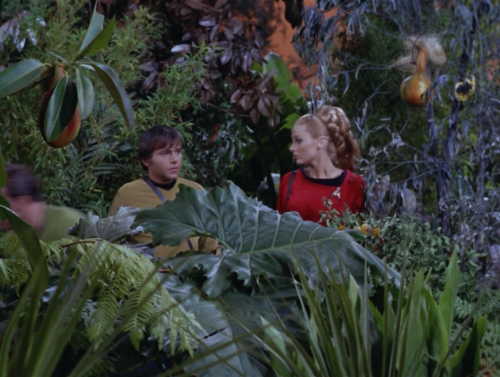 010011010100101001001101: Star Trek: Plants