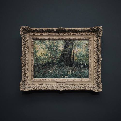 andantegrazioso:Sous-bois Vincent Van Gogh | dromelot