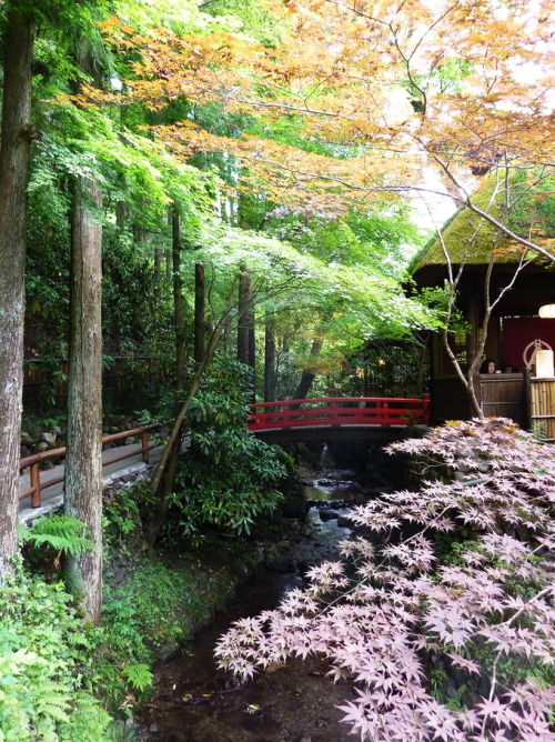 Restaurant in the forest, Ukai Toriyama / Japan (by gavsherry).