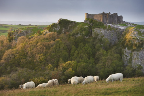 wishfulthinkment:Carreg Cennen, Wales