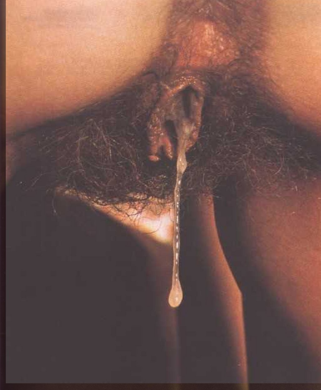 hairy-chastity-pegging-fetish: richardhurtin: Vintage creampie . 