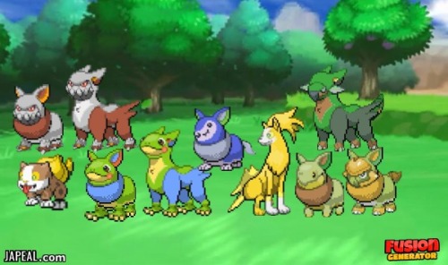 Some Uhh Yamper/Boltund Crossbreeds...