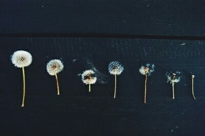 hipster tumblr blog