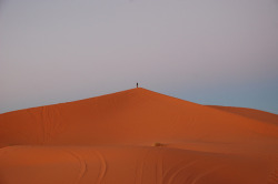 tsarism:  Sunrise in the Sahara by Hammer411 on Flickr.