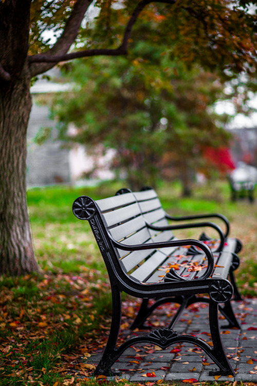 Peaceful and tranquilby Keith Derricotte