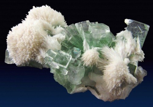 Apophyllite with Scolecite - India