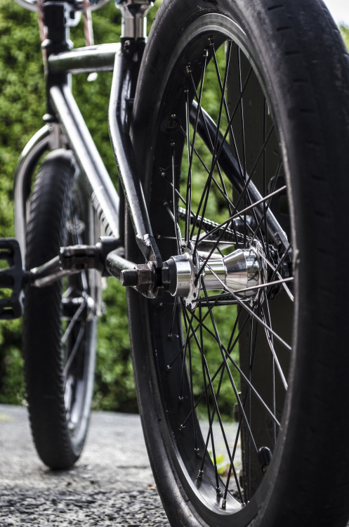 xdegreezbmx: My wheel <3