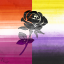 rose-blooms-red