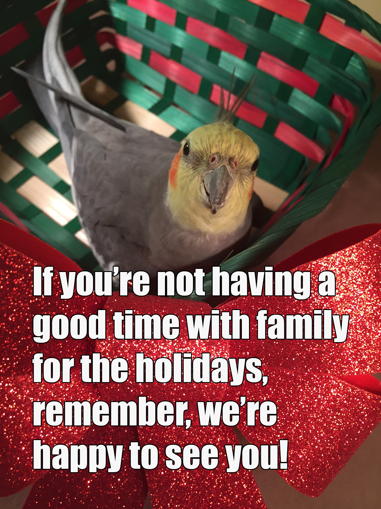 pepperandpals:If your family makes the holidays suck, congrats! You’ve been adopted