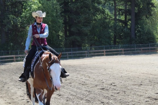 Went out and took some pics today of one of my amazing friends and her step daughter showing her horse ( they’ve actually been in a magazine recently). She took the overall show and got a buckle and her little got her first show buckle! ( at 7!!) both