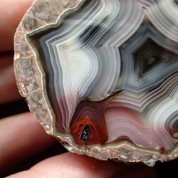 structureminerals:  Agua Nueva Agate currently