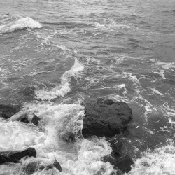 Let Me In Your Ocean, Swim