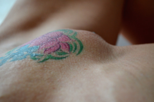 The Burning Lotus