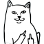vazafi