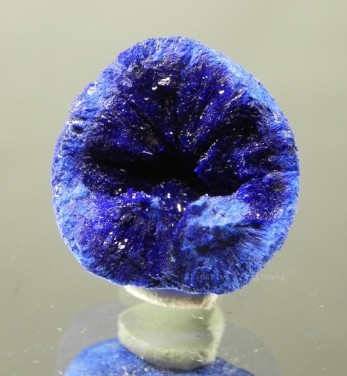 ural-minerals:  Azurite  Cu3(CO3)2(OH)2Russia, South Ural, Chelyabinsk region, Varna district, MiheevskoyePhoto:  Ekaterina  Pakhneva