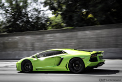 automotivated:  Lamborghini Aventador. (by Charlie Davis Photography) 