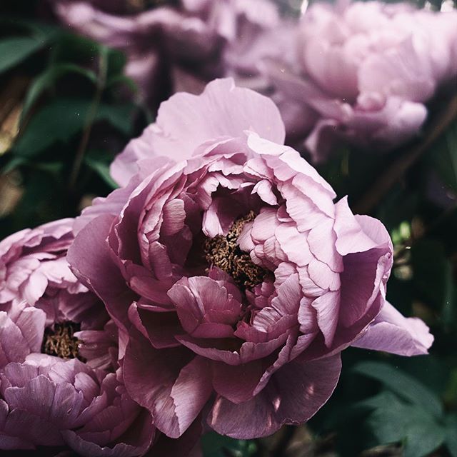 https://www.instagram.com/toile_blanche/