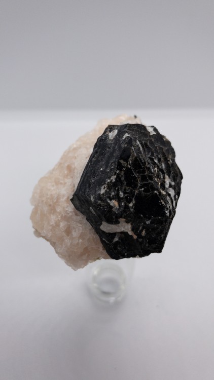 Phlogopite on Limestone with ApatiteLocality: Wilberforce, Ontario