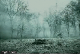 sixpenceee:  cunt0logist:  sixpenceee:  The Ring: Cursed Video Tape According to