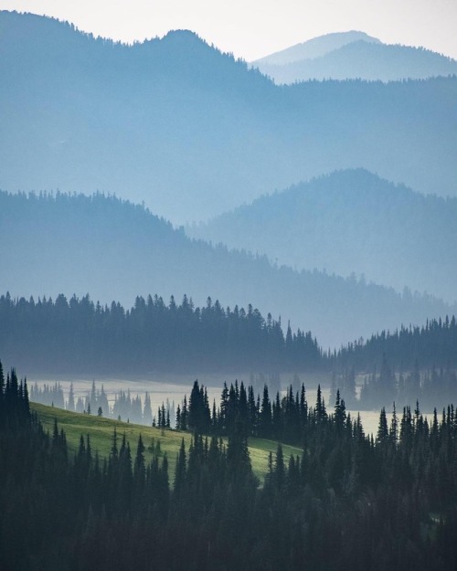 alltimechelsea:adventuresinfinity:Mount Rainier national park by Jake Gosline [640x800] | Source: ht