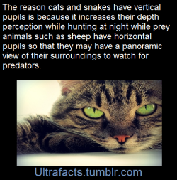 ultrafacts:  Source Follow Ultrafacts for