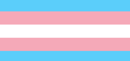 i started a twitter account please follow @irishtransgirl