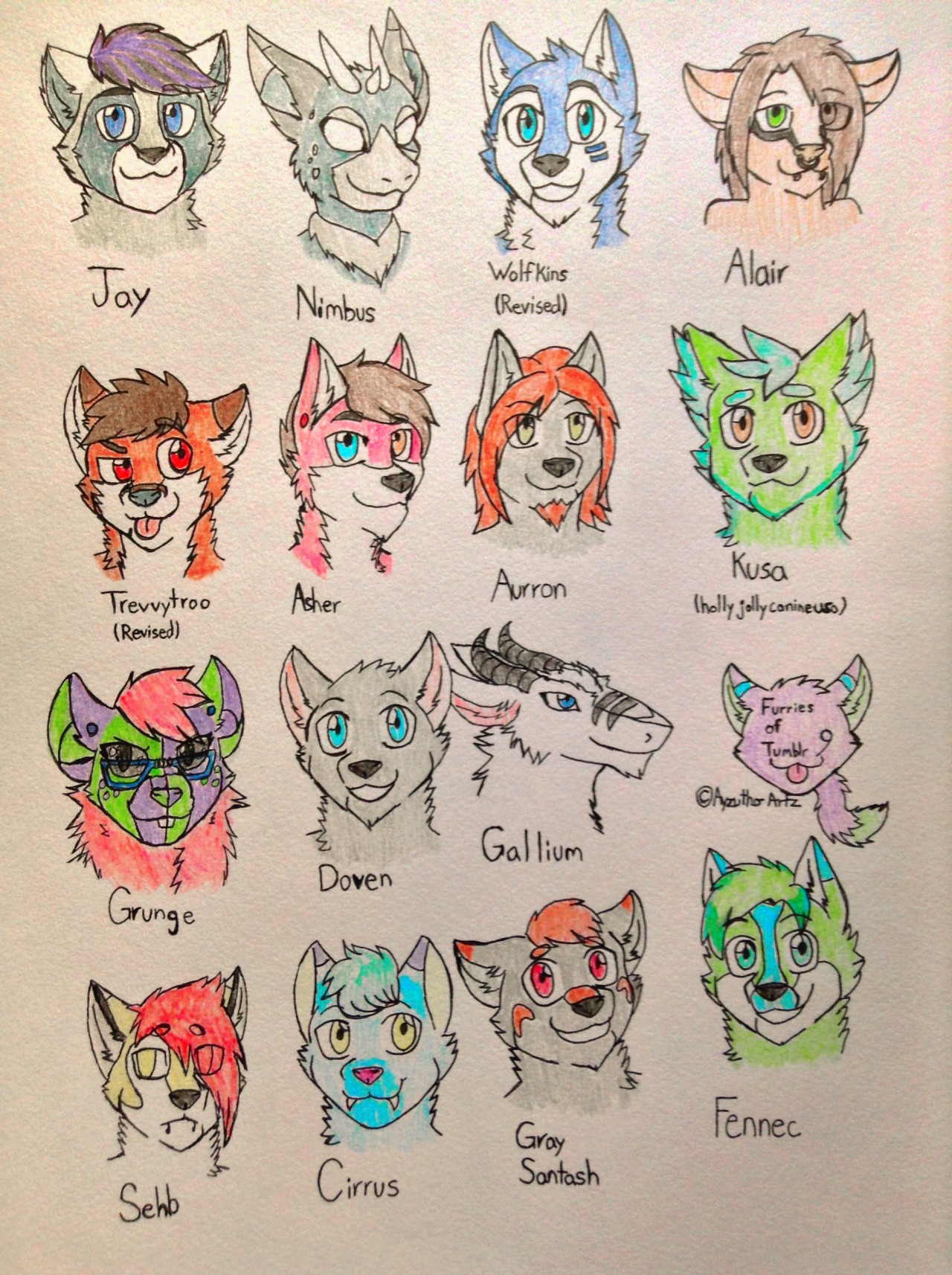 furrywolflover:  ayzutho-the-catfox:  Furries of Tumblr Collection  Aww I dont see