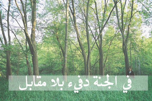 jnnah:  الجنـة تستحقكم جميعا .. فلا تبخلوا علي أنفسكم بها ..  أعملوا الصالحات واجتنبوا المحرمات السيئات .. الجنة يوماً ما يلتقي بهـا كل الاحباب