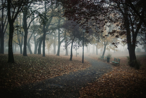 valscrapbook:  moody by ewitsoe on Flickr.  I love fog.  I don’t know why. But I think it adds something great to most landscape photos.