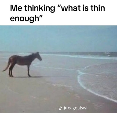 If I Didnt See Myself As Thin At My Sw, Nor Do I See Myself As Thin At My Cw, When Will I Consider Myself