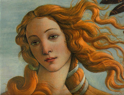 malinconie: The Birth of Venus, Details 