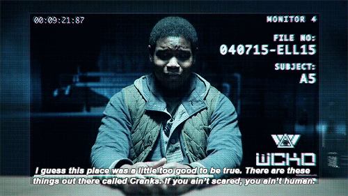 ryuyalana:  mazerun:  Thomas and the Gladers are debriefed in exclusive ‘Scorch