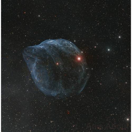 Sharpless 308: Star Bubble #nasa #apod #sharpless308 #cosmicbubble #starbubble #constellation #bigdog #canismajor #wolfrayetstar #presupernova #star #nebula #wind #ionization #ionized #oxygen #interstellar #milkyway #space #science #astronomy