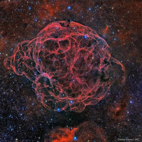 Simeis 147: Supernova Remnant #nasa  #apod #iac #simeis147 #sharpless2240 #supernovaremnant #spaghettinebula #constellation #constellations #taurus #auriga #supernova #stellar #debris #gas #dust #neutronstar #pulsar #star #interstellar #milkyway #galaxy