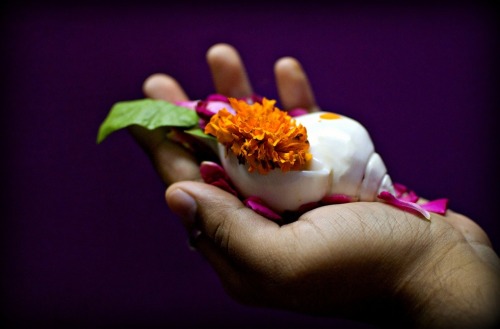 Conch with arghya for puja, Bengal