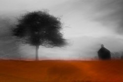 wonderingaesthetic:  Chris Friel