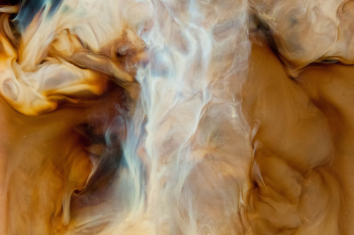 horsewildog:coffee and milk photography