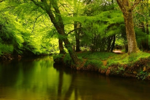 Shades of Green by Mike Crowle