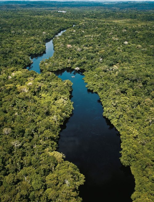 brazilwonders - Floresta amazônica (by National Geographic...