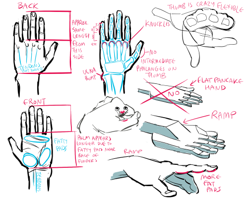 notmusa:  hello yes i do get this question often but my method has changed since last time i posted anything about it, by which i mean i don’t really have a method beyond “draw a shape for the body of the hand and then add stuff” sometimes it is