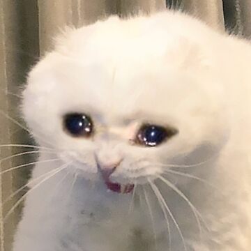 Some Pictures Of Me After Watching Good Omens S2