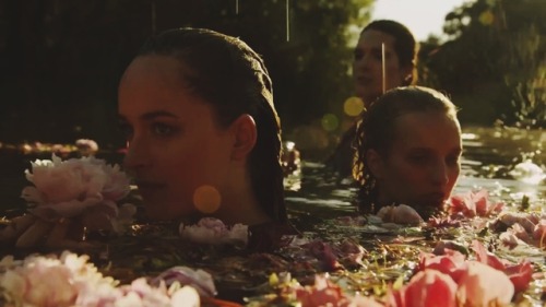 miss-vanilla:  Gucci: Bloom film campaign, directed by Glen Luchford and starring Dakota Johnson, Ha