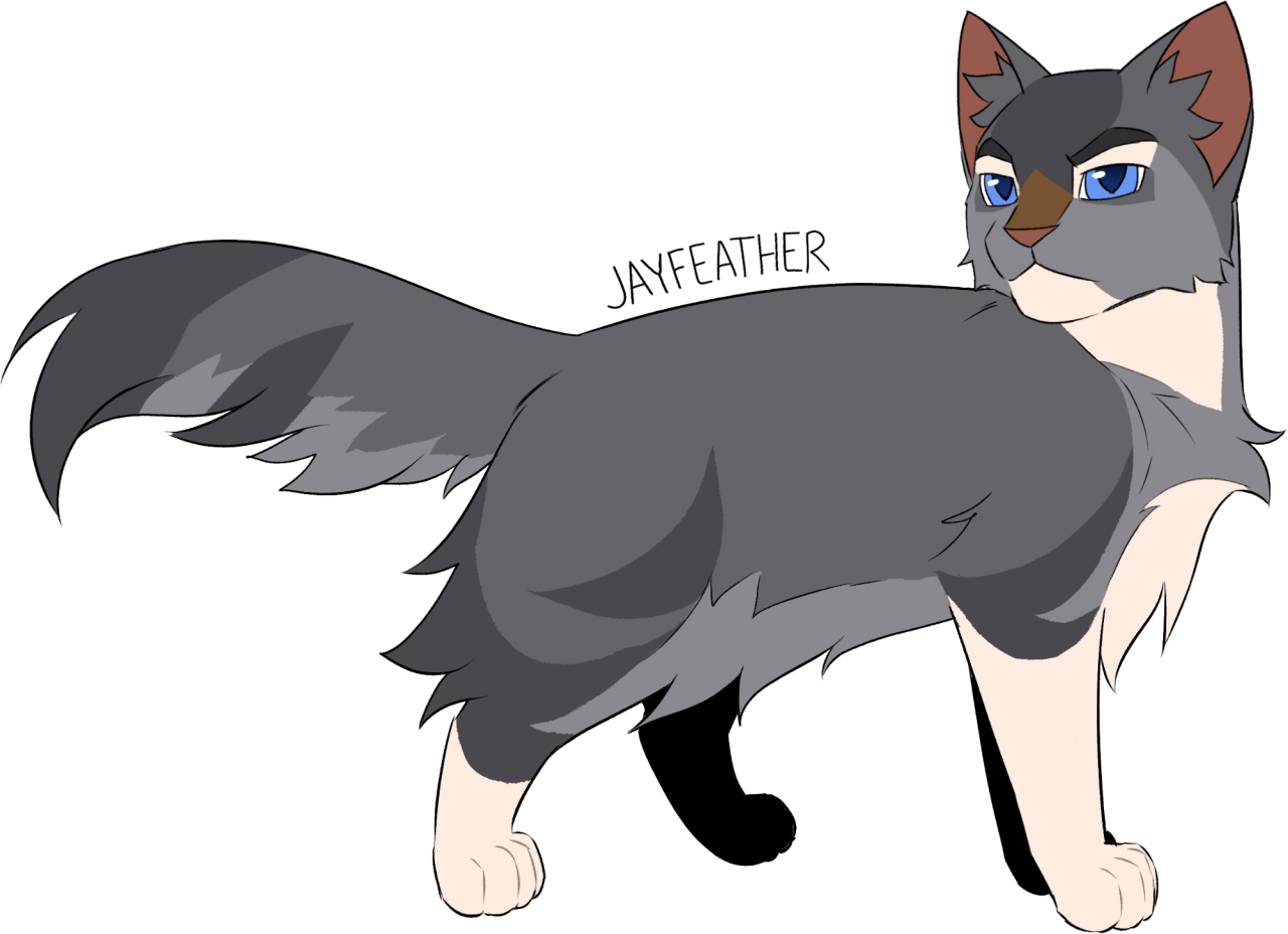 Medicine cat code - Warrior Cats